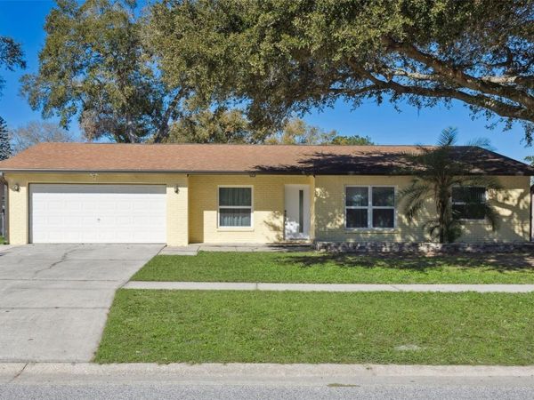 1255 FOGGY RIDGE PARKWAY, LUTZ, FL 33559