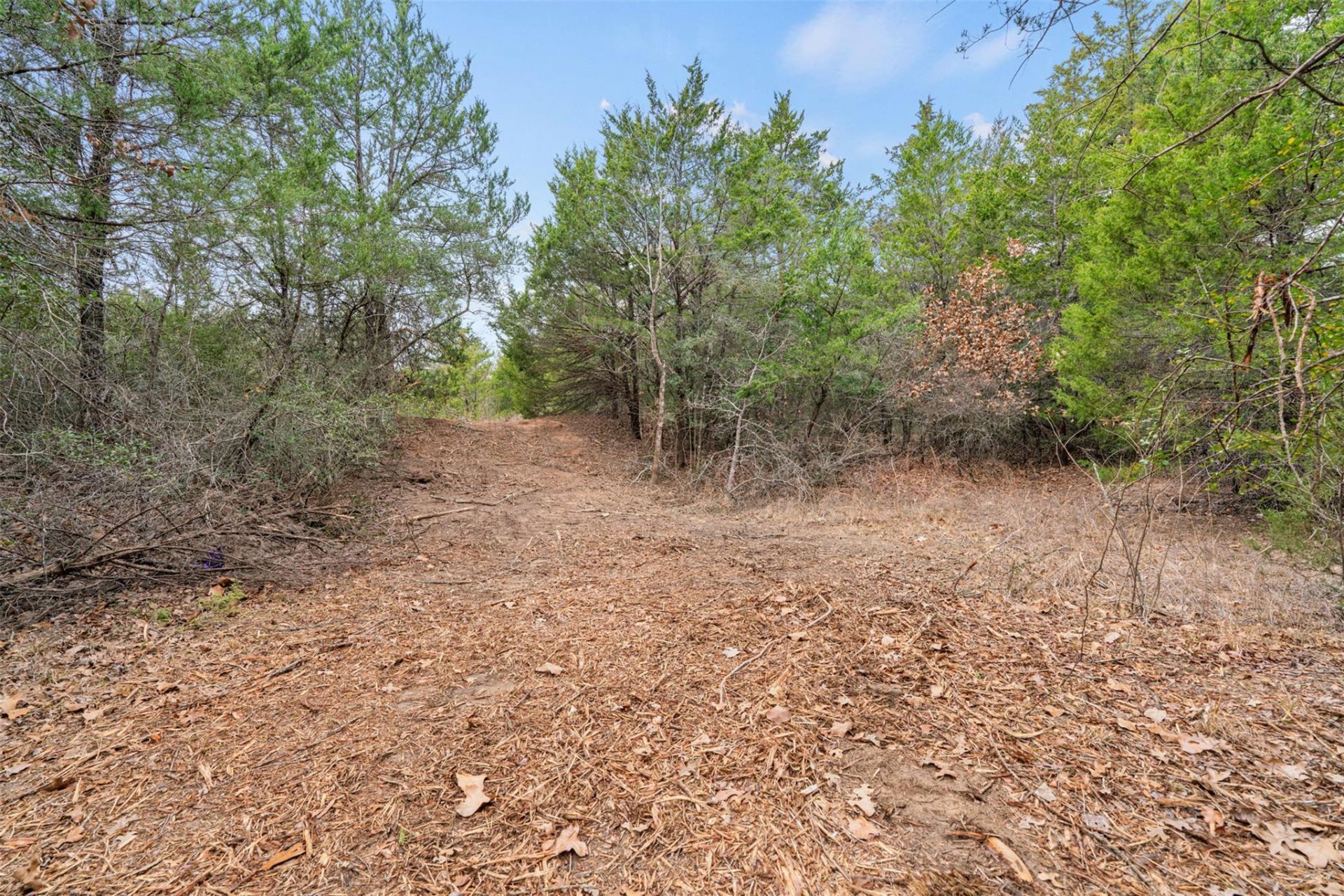 Tbd County Road 330, Milano, TX 76556 Main Photo