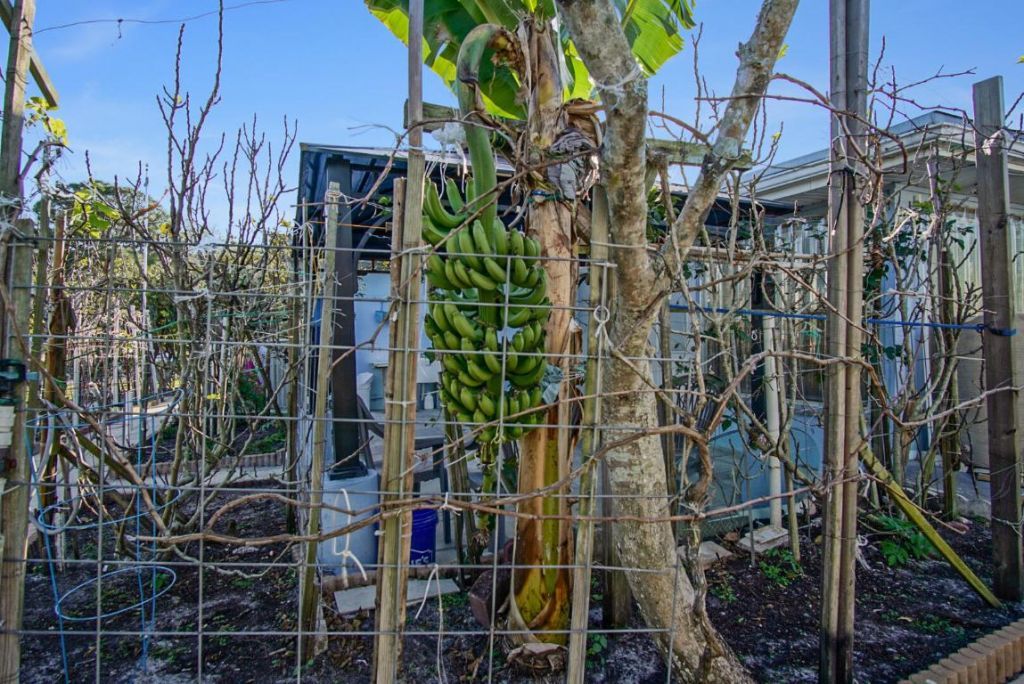 205 NE Ardsley Drive, Port Saint Lucie, FL 34983 Photo