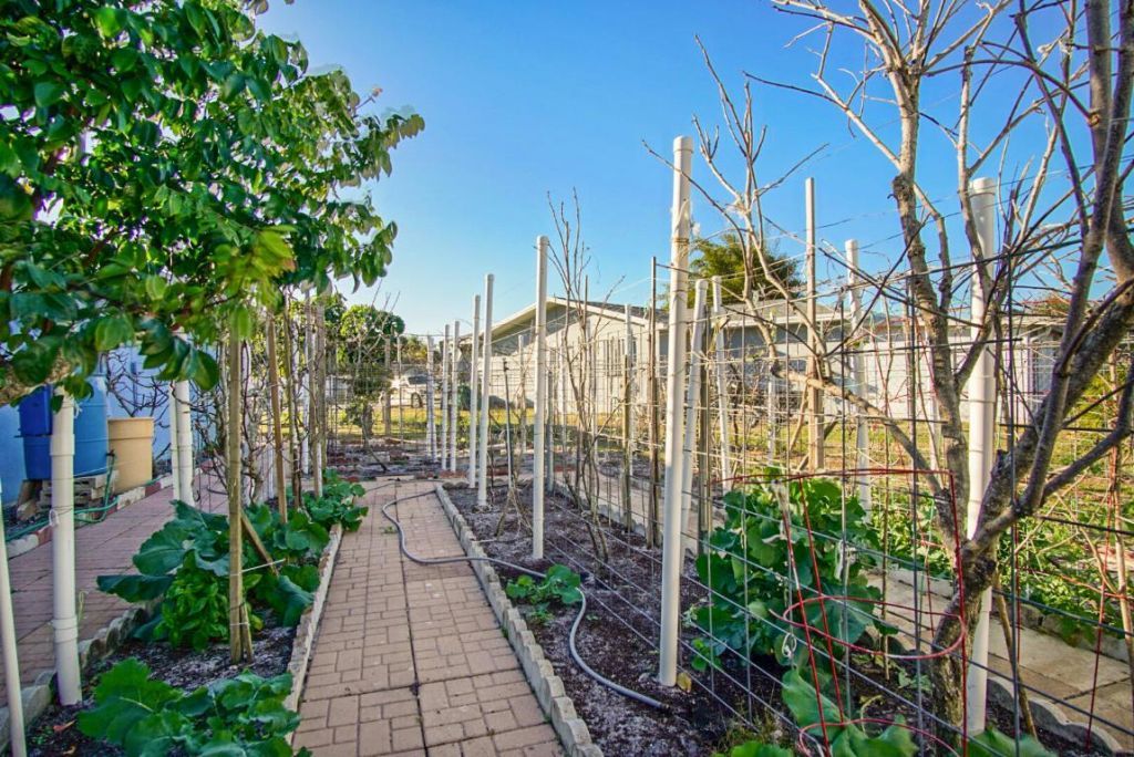 205 NE Ardsley Drive, Port Saint Lucie, FL 34983 Photo