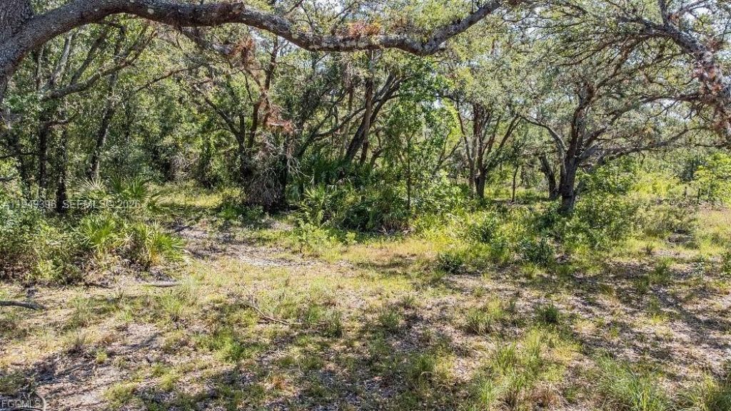 1 Catamount Rd, Labelle, FL 33935 Photo