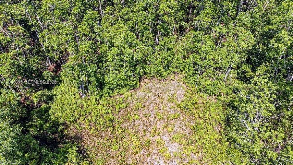 1 Catamount Rd, Labelle, FL 33935 Photo