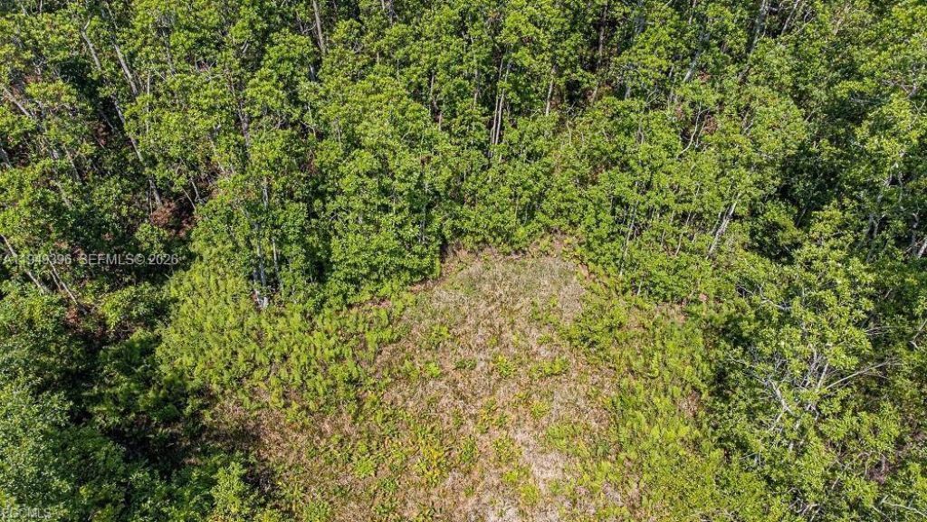 1 Catamount Rd, Labelle, FL 33935 Photo
