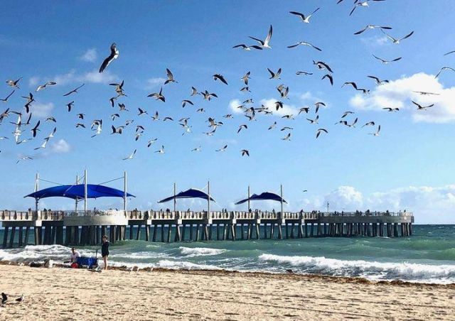 133 N Pompano Beach Boulevard, Unit 609, Pompano Beach, FL 33062 Photo