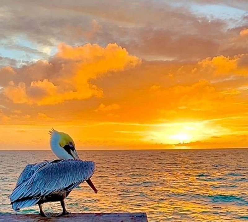 133 N Pompano Beach Boulevard, Unit 609, Pompano Beach, FL 33062 Photo