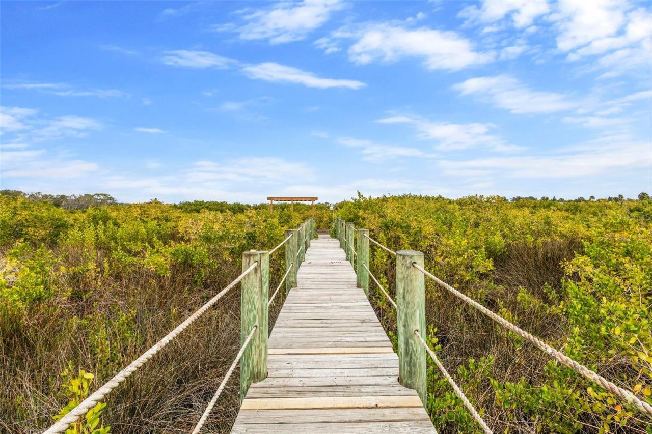 1363 Wayne Avenue, New Smyrna Beach, FL 32168 Photo