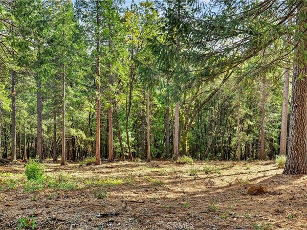 0 Cedar Creek, Forest Ranch, CA 95942
