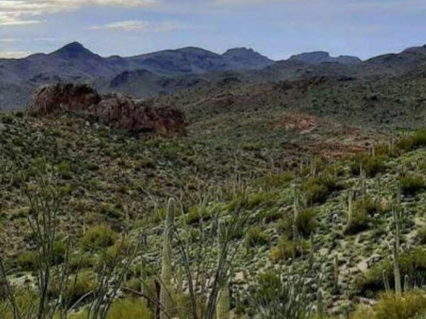 004K E Hardt Tank Road, Unit 004K, Queen Valley, AZ 85118