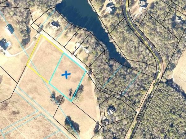 0 Mill Creek Road, Bartow, GA 30413