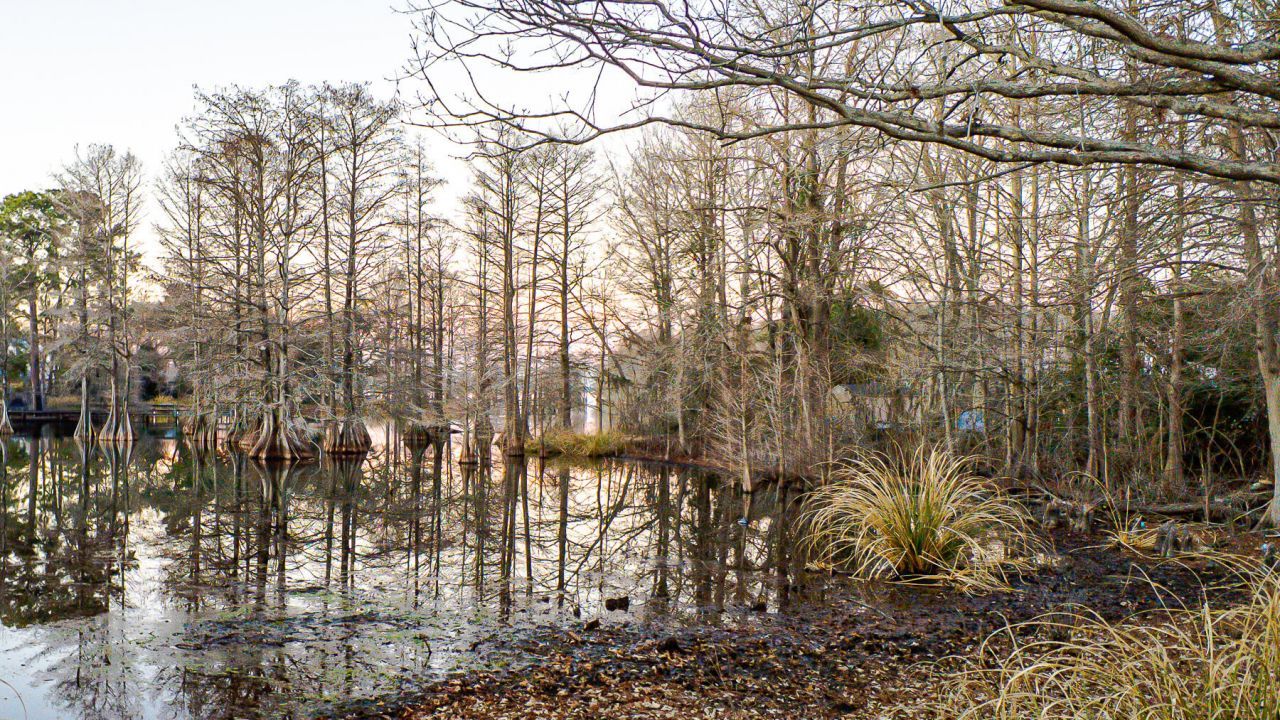 402 Knott Drive Photo 113