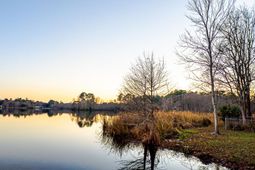 402 Knott Drive photo 4