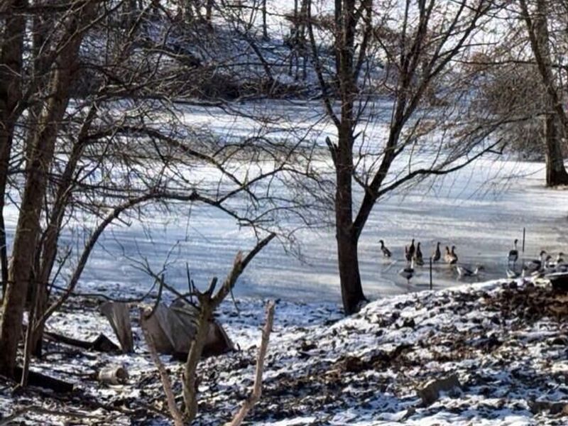 540 Flagdale Road S, Junction City, OH 43748 Photo 27