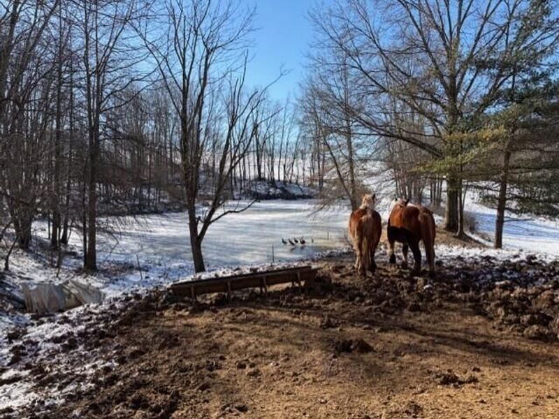 540 Flagdale Road S, Junction City, OH 43748 Photo 29