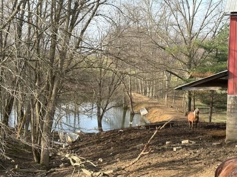 540 Flagdale Road S, Junction City, OH 43748 Photo 31