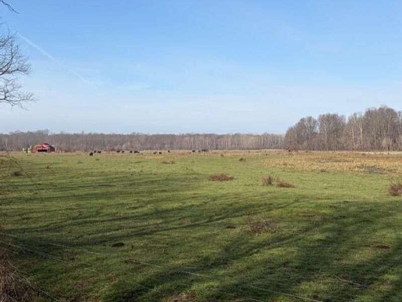 540 Flagdale Road S, Junction City, OH 43748 Photo 34