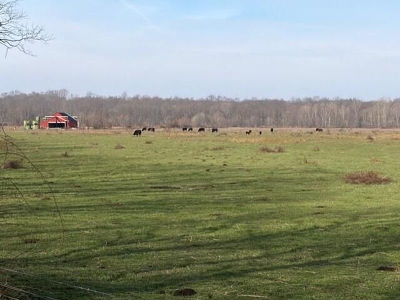 540 Flagdale Road S, Junction City, OH 43748 Photo 36