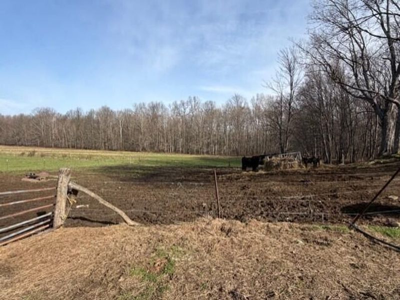 540 Flagdale Road S, Junction City, OH 43748 Photo 39