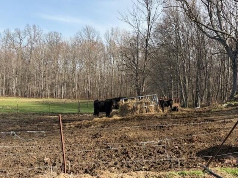 540 Flagdale Road S, Junction City, OH 43748 Photo 40