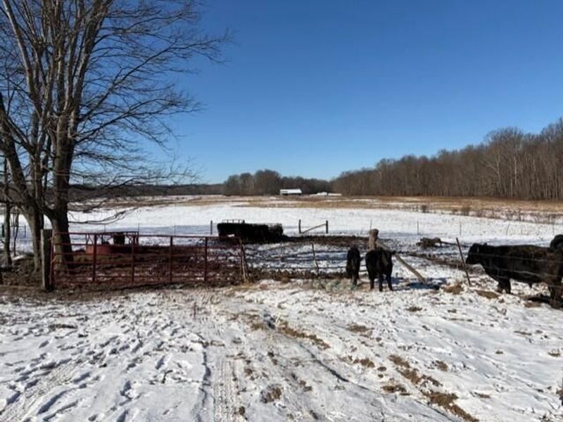 540 Flagdale Road S, Junction City, OH 43748 Photo 40