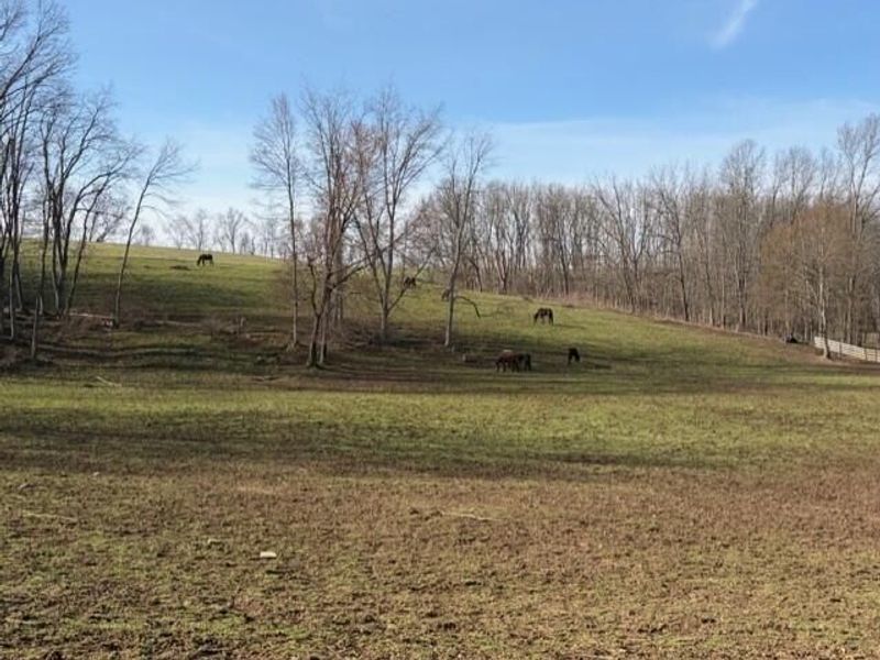 540 Flagdale Road S, Junction City, OH 43748 Photo 41