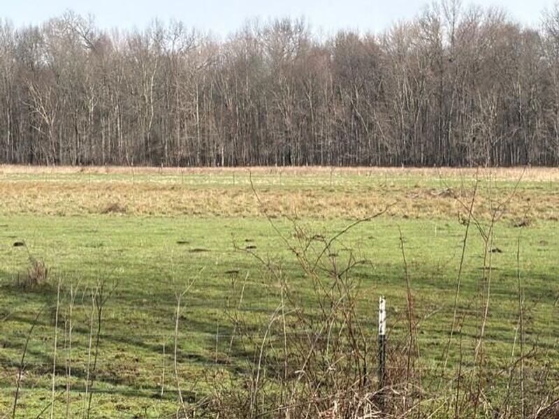 540 Flagdale Road S, Junction City, OH 43748 Photo 42