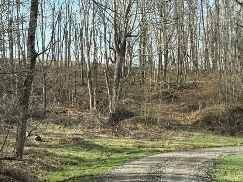 540 Flagdale Road S, Junction City, OH 43748 Photo 46