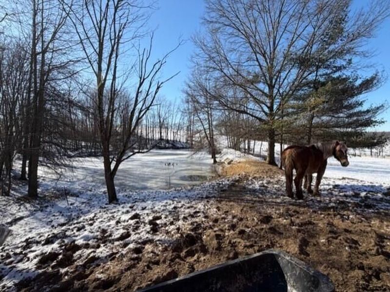 540 Flagdale Road S, Junction City, OH 43748 Photo 47