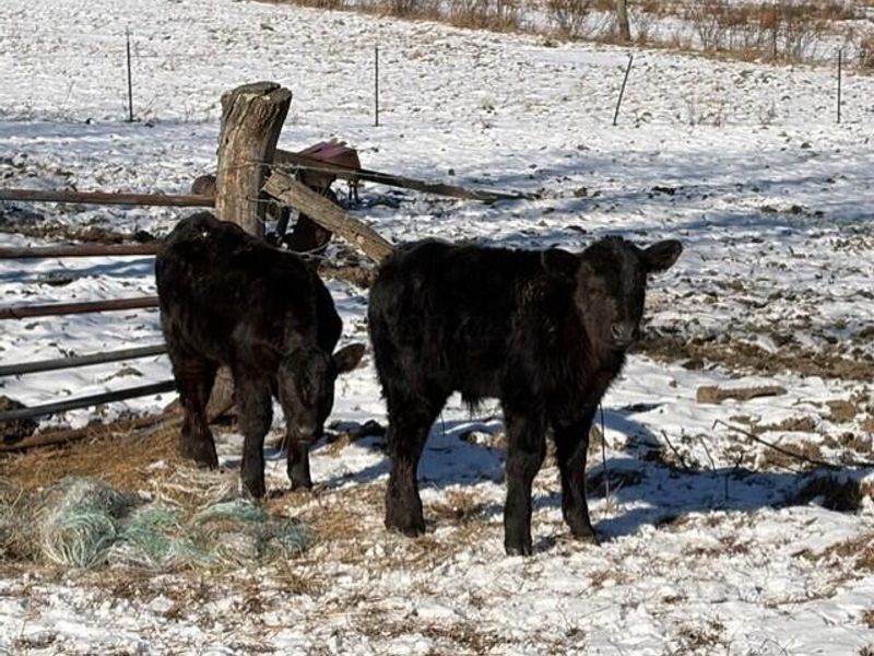 540 Flagdale Road S, Junction City, OH 43748 Photo 48