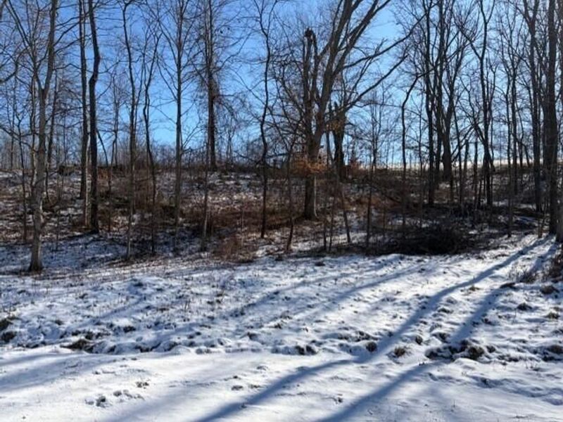 540 Flagdale Road S, Junction City, OH 43748 Photo 54