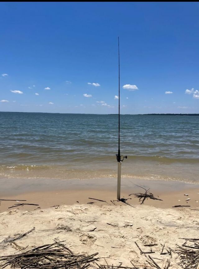 23 Gingerwood Road Photo 15