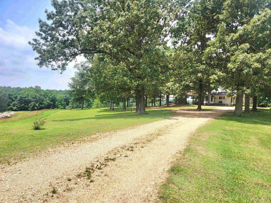 Property Image 48