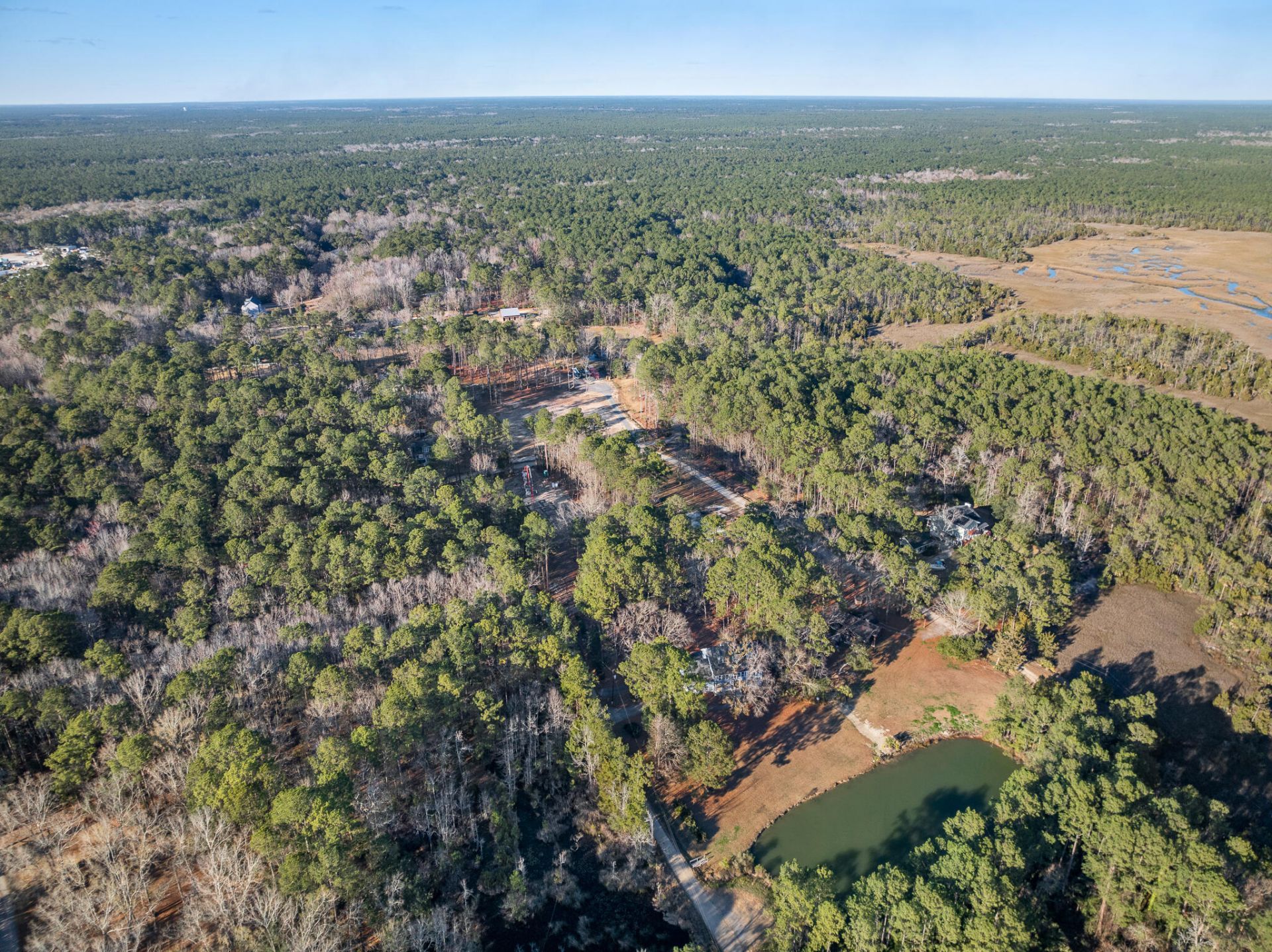 815 Yaupon Drive Photo 39