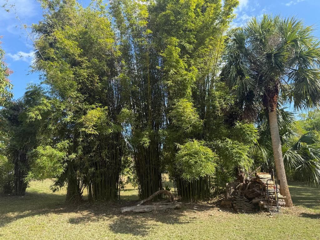 15119 98th Trail N, Jupiter, FL 33478 Photo