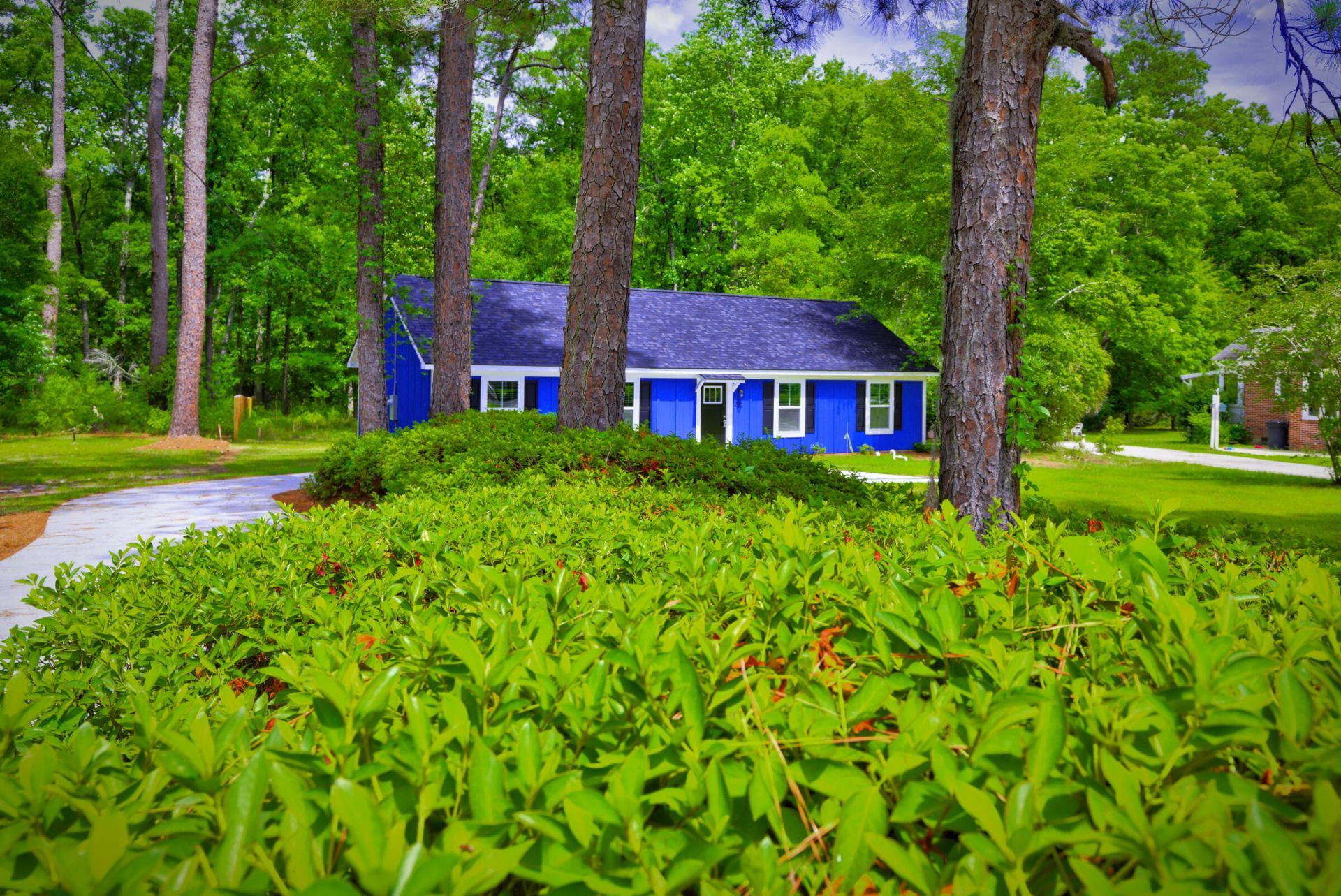 207 Woodlawn Street Photo 10