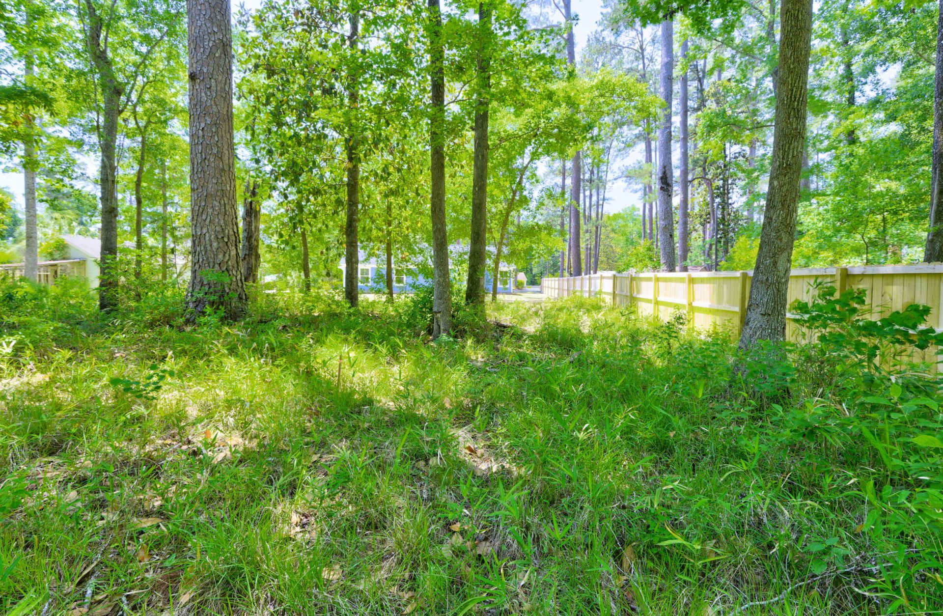 207 Woodlawn Street Photo 40