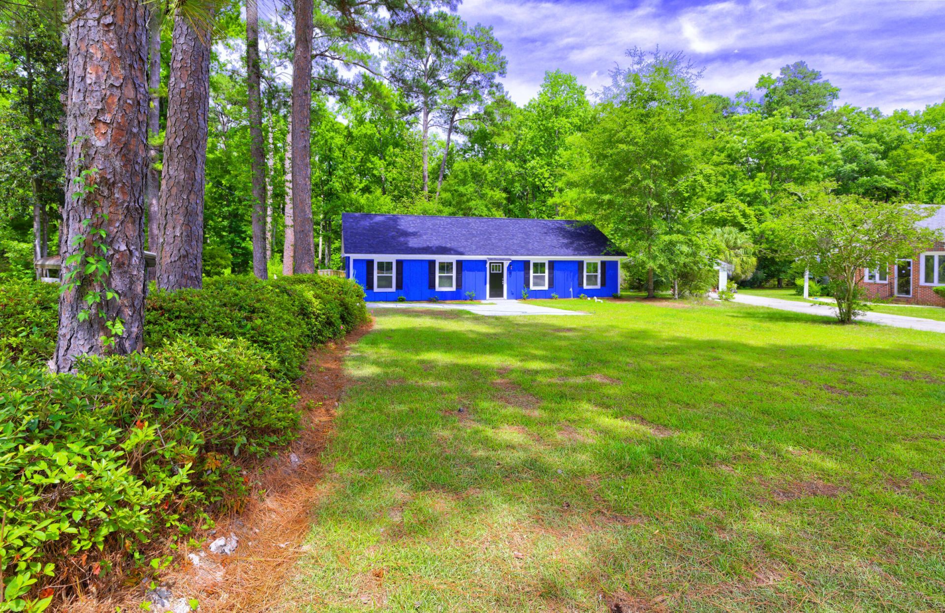 207 Woodlawn Street Photo 5