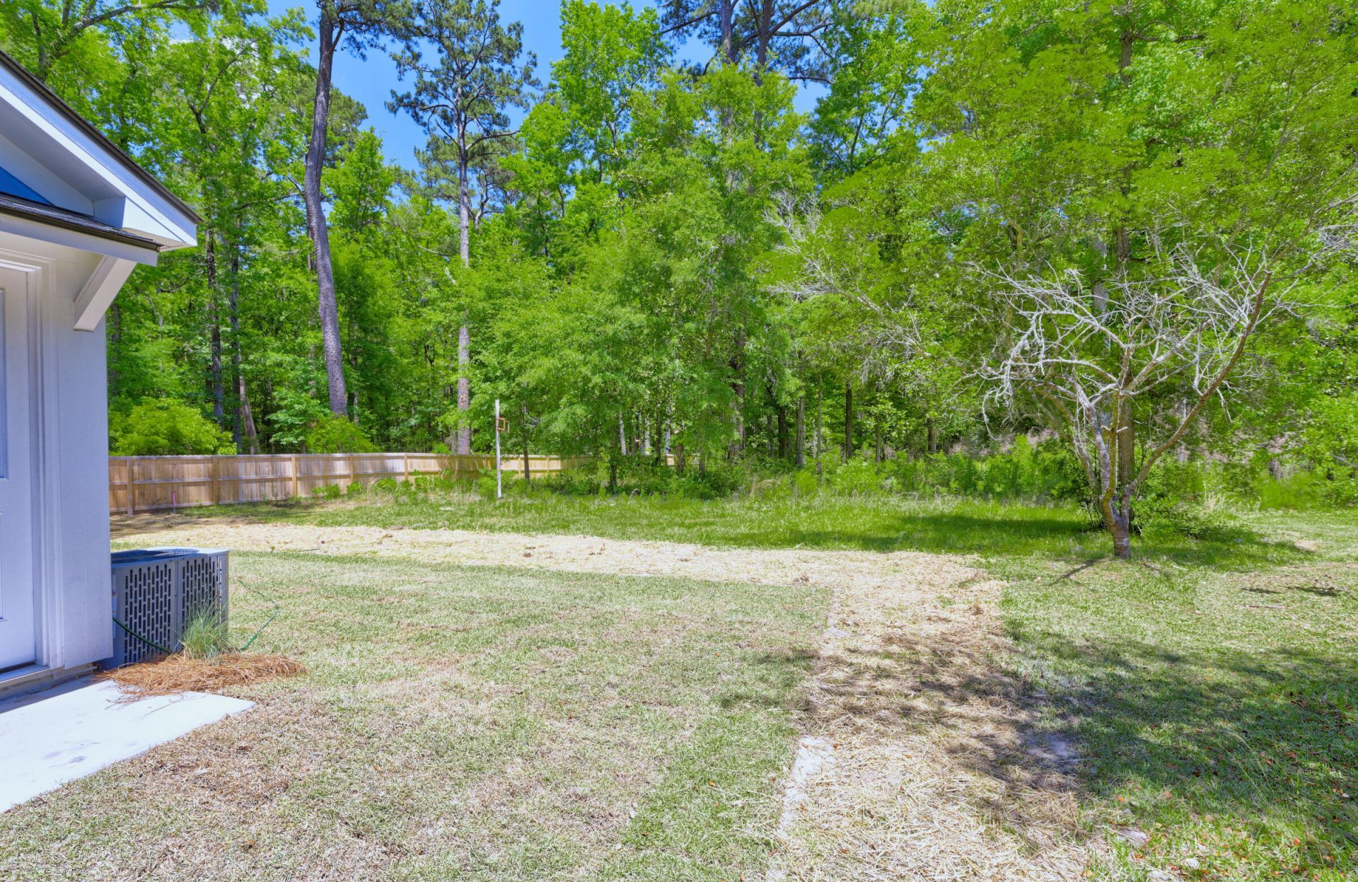207 Woodlawn Street Photo 8