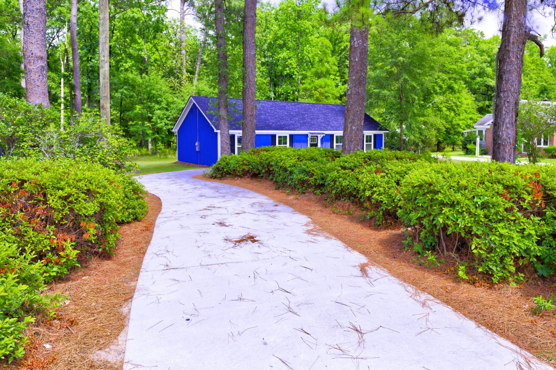 207 Woodlawn Street Photo 8