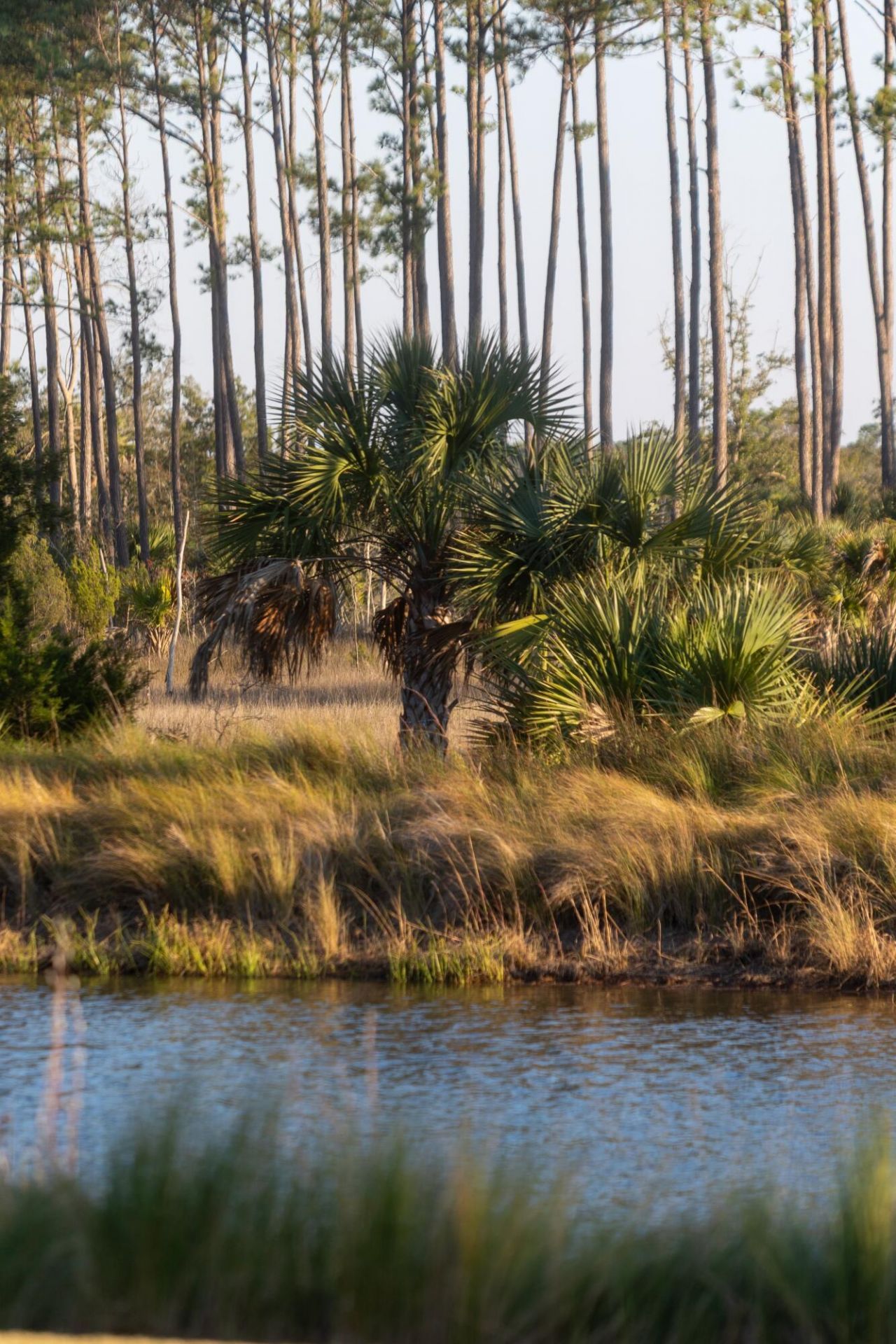 809 Roddin Street Photo 70