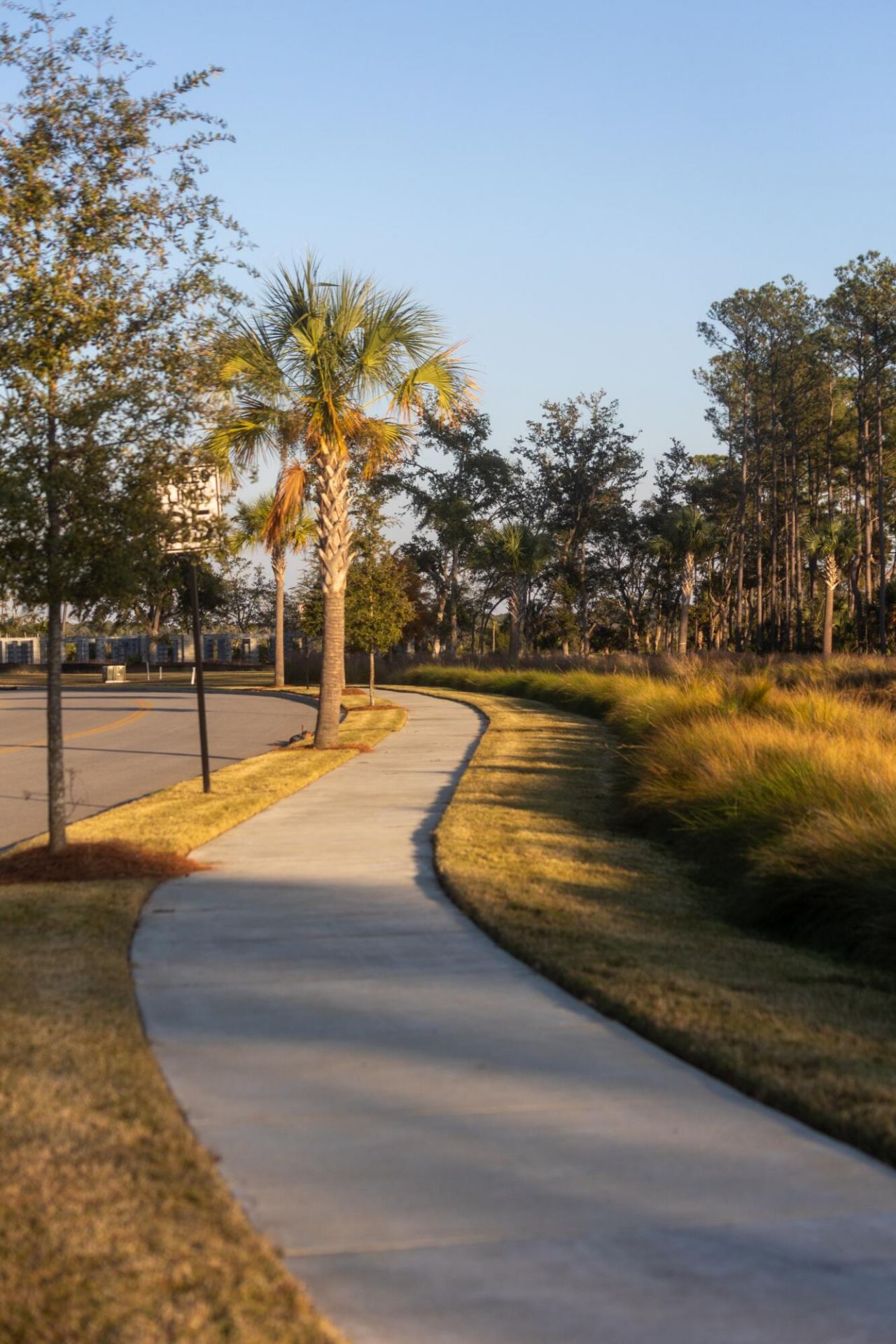 809 Roddin Street Photo 72