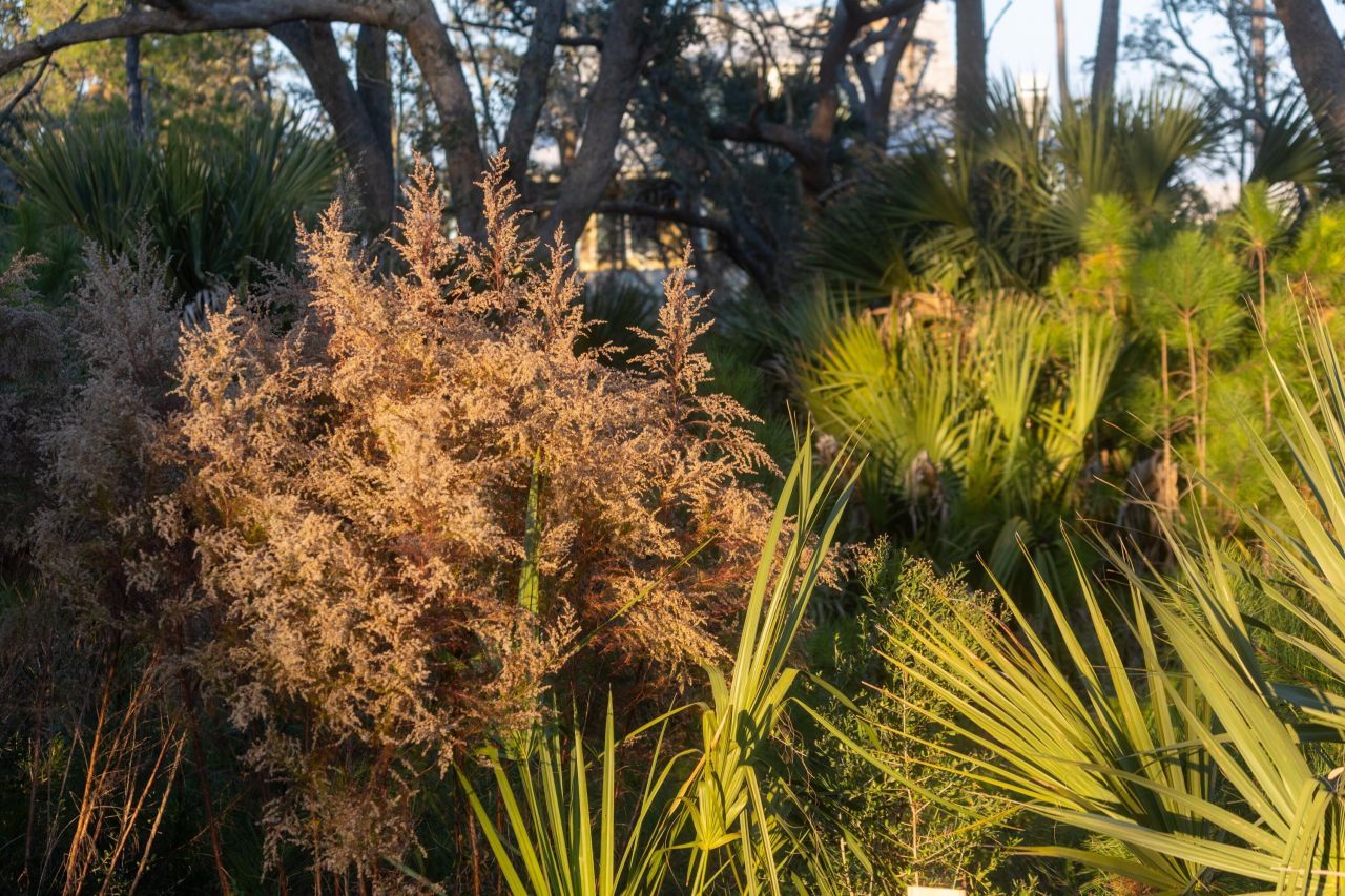 809 Roddin Street Photo 73