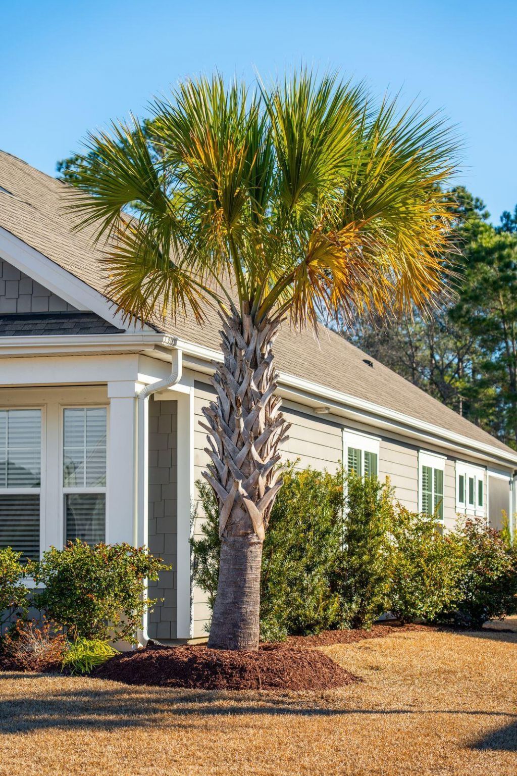 673 Pontoon Road Photo 6