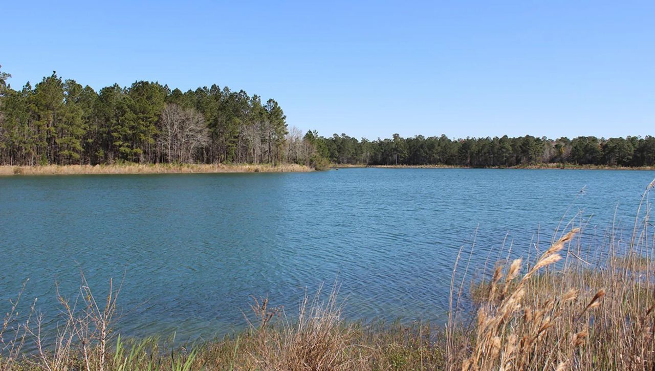 673 Pontoon Road Photo 88