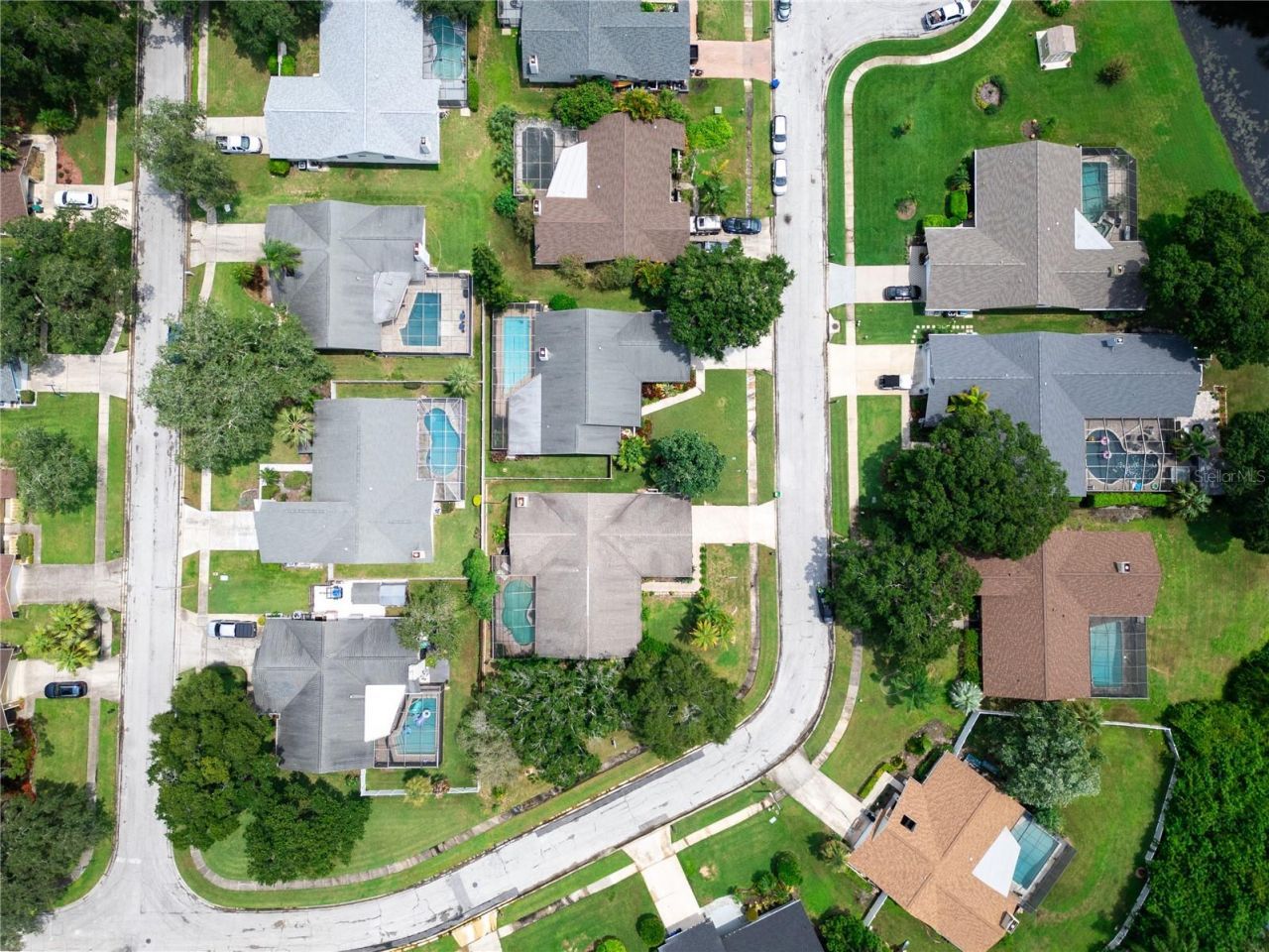 2917 Cypress Ridge, Palm Harbor, FL 34684 Photo