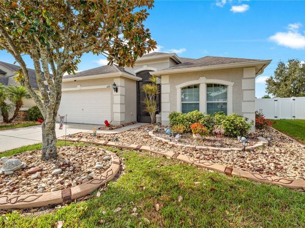 6729 BOULDER RUN LOOP, WESLEY CHAPEL, FL 33545