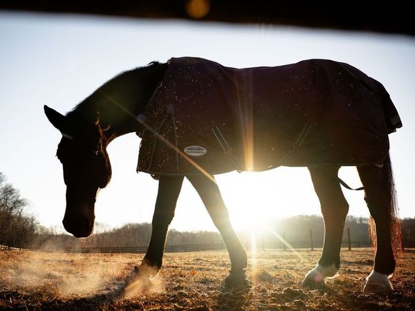 1100 Camwood Way , Franklin, TN 37064