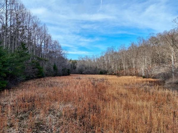 476 Rainbow Road, Suches, GA 30572