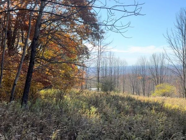 Chaffee Road , Liberty, NY 12754