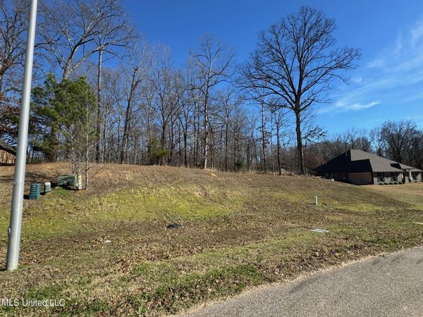 9678 Vaughters Cove, Olive Branch, MS 38654