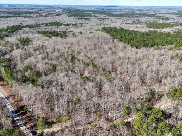 0 Tall Pines Road, Ashland, MS 38603